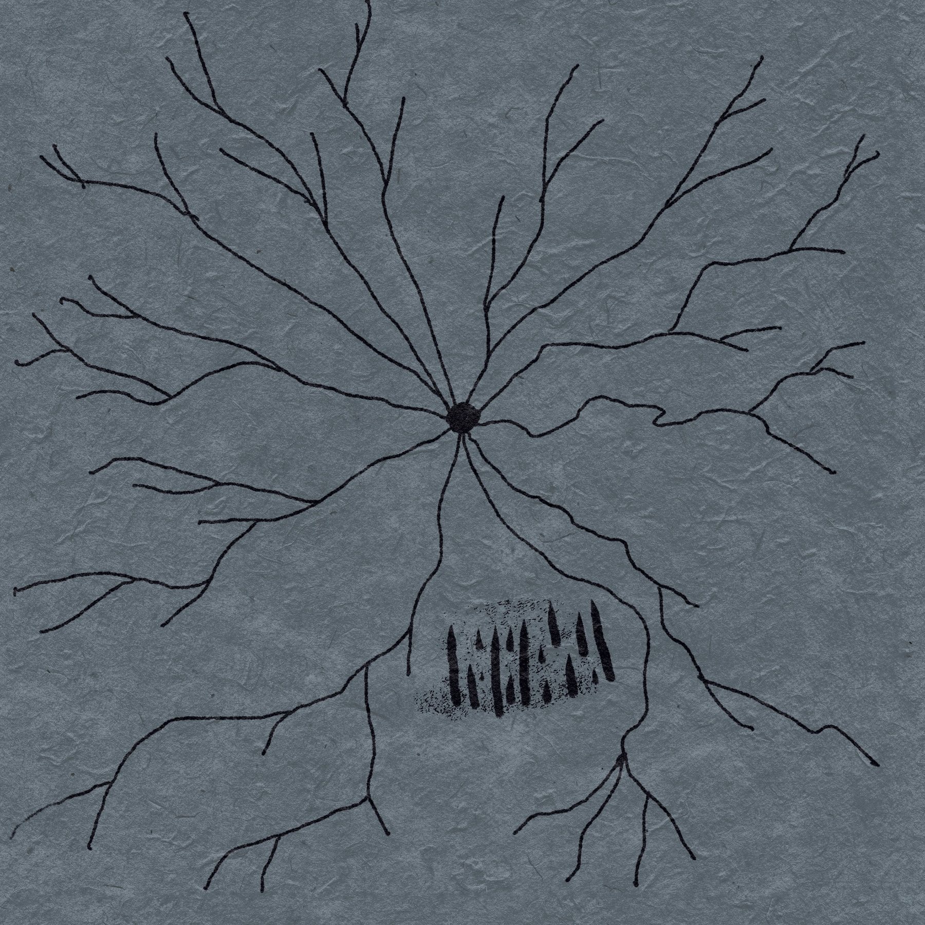 Minimal branching black line drawing on grey texture