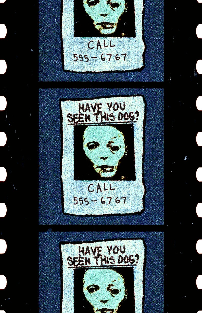 Have You Seen This Dog flyer