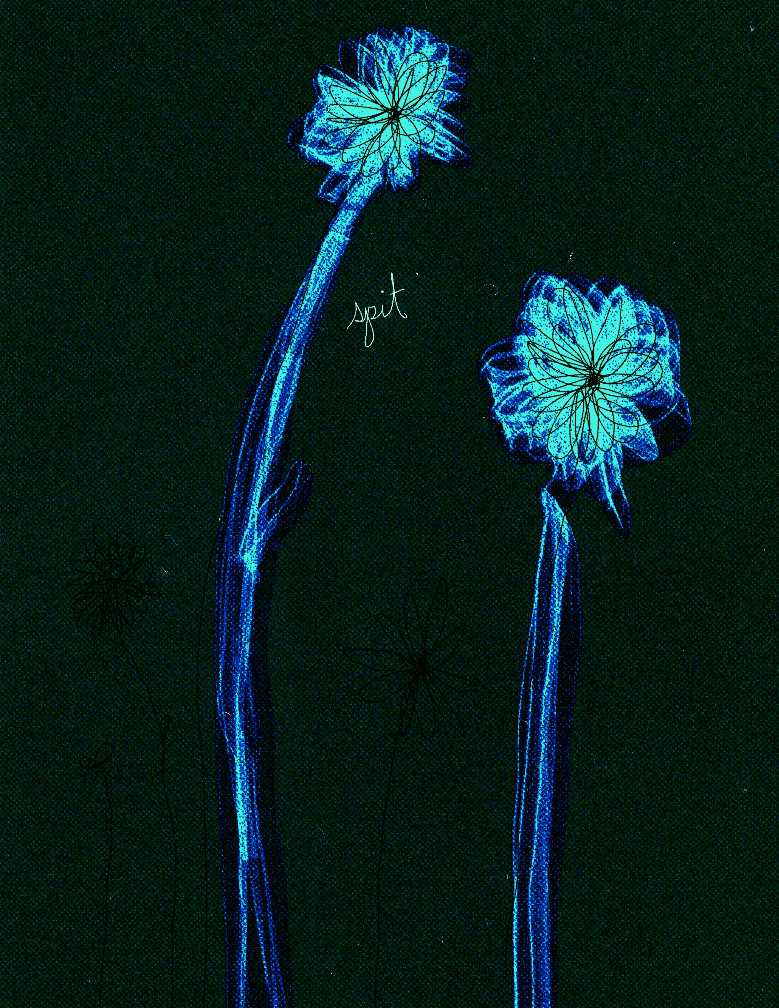 One Hundred Billion Points of Light booklet page 9