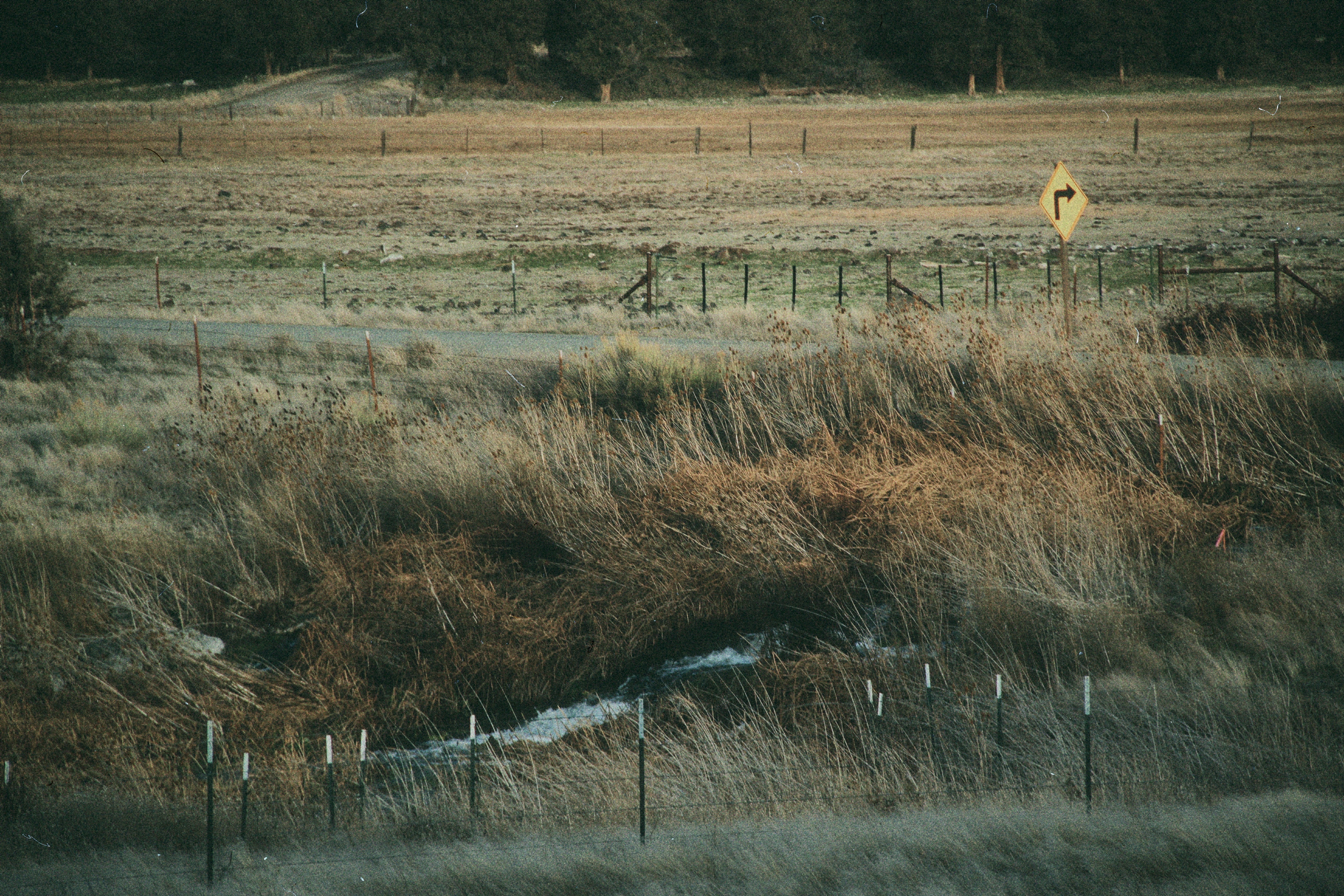 Open field beneath a subdued sky