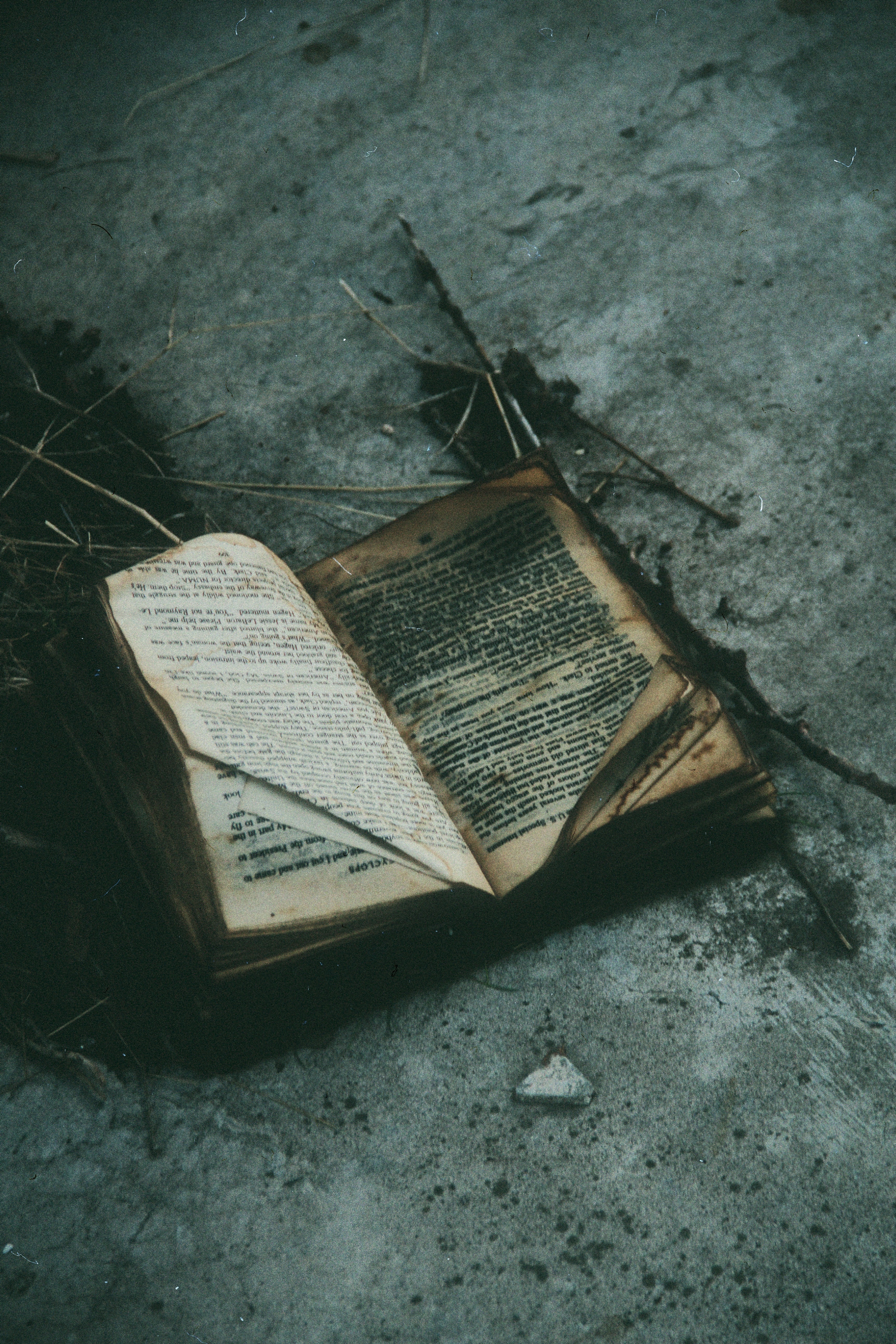 Open book resting on the ground